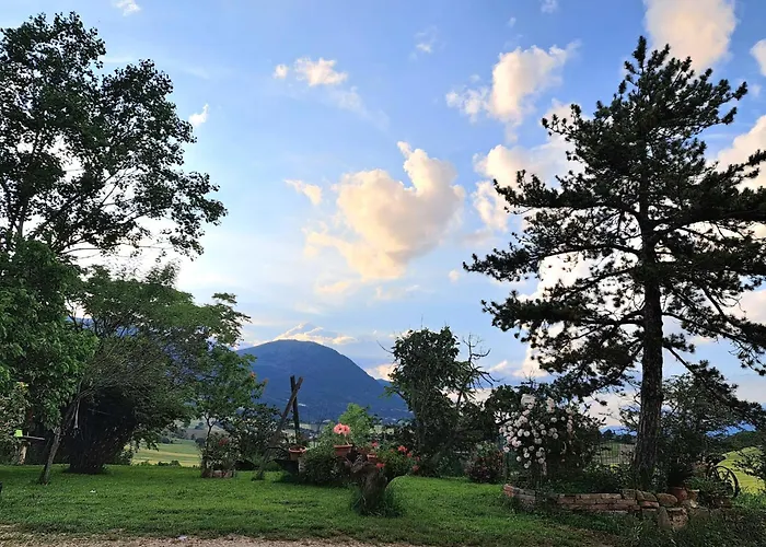 Agriturismo Il Raggio Di Sole Di Orpello
