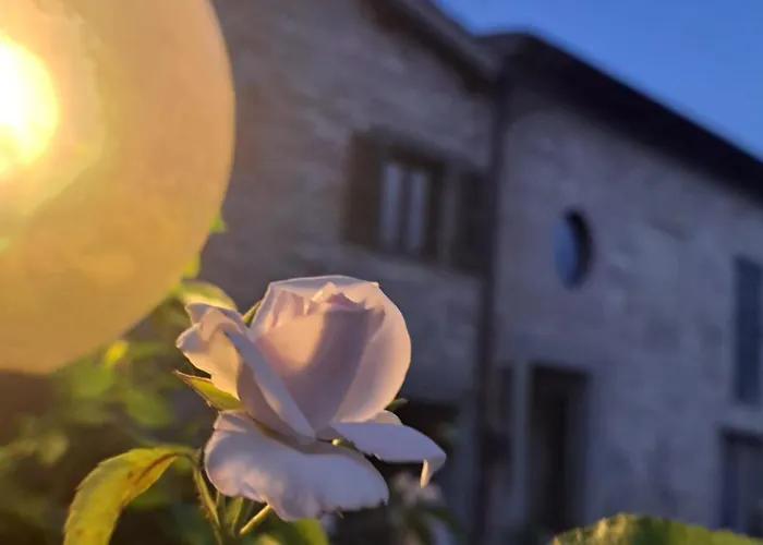 Agriturismo Il Raggio Di Sole Di Orpello