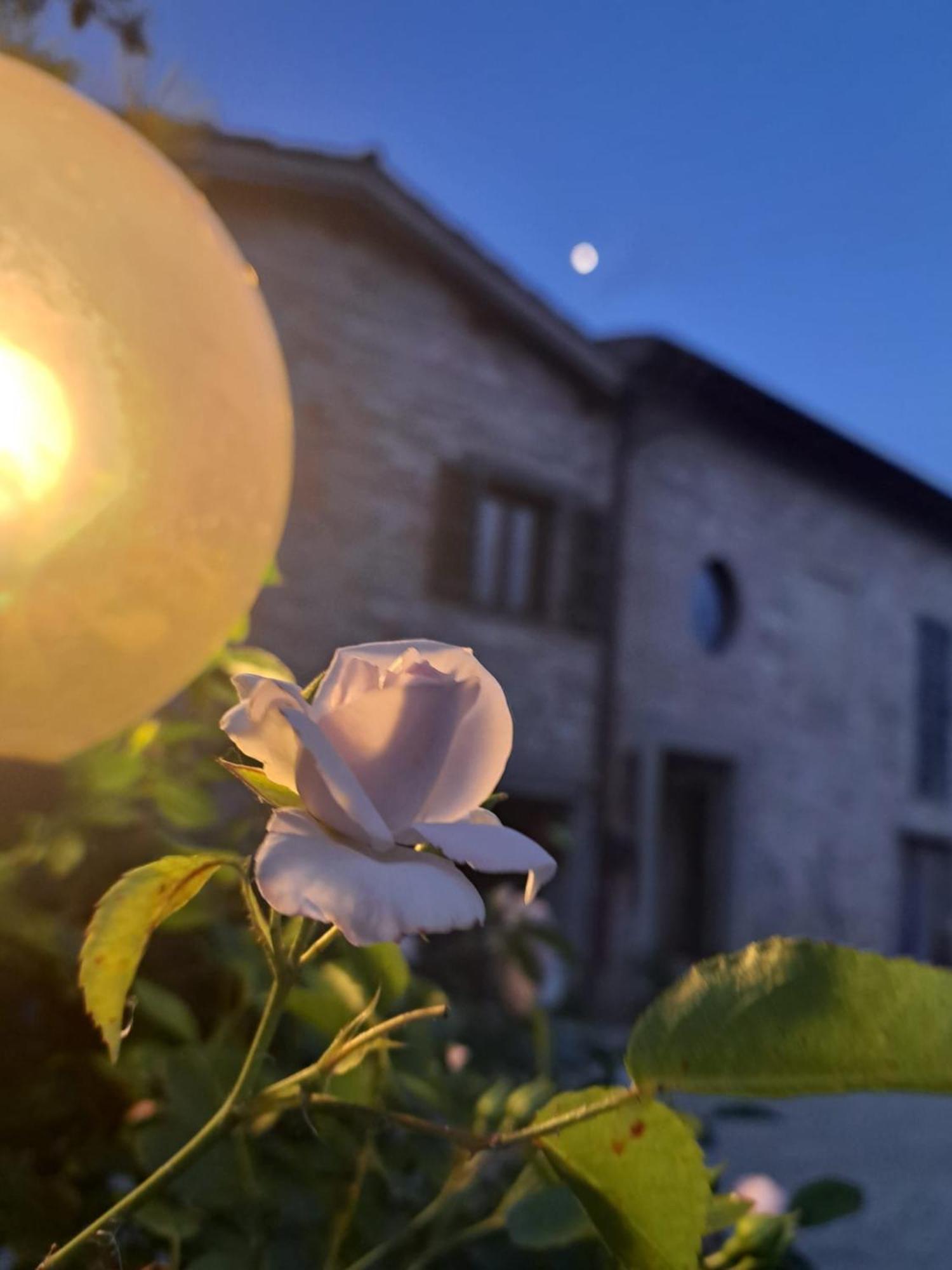 Farm stay Il Raggio Di Sole Di Orpello Camerino